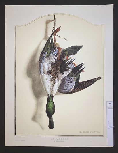 TRAVIES (d'après). Le canard Souchet. Tirage...