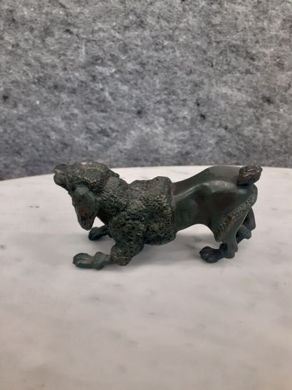 Caniche en bronze patiné
H : 6 cm 