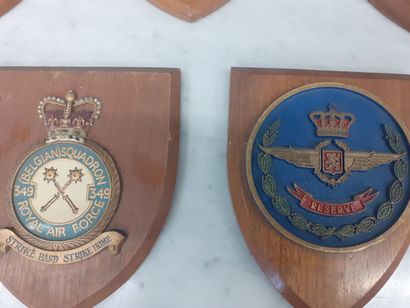Cinq blasons d'escadrille anglaise et belge...
