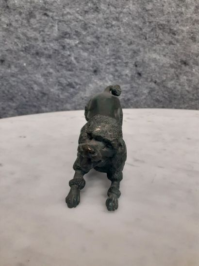 Caniche en bronze patiné
H : 6 cm 
