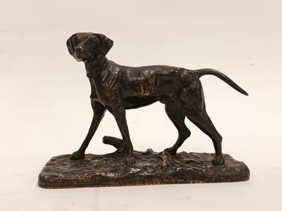 Braque à l'arrêt 
Epreuve en bronze patine...