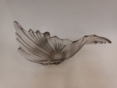 Coupe de forme libre en verre
Env. 30 x 46...