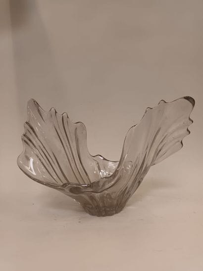 Coupe de forme libre en verre
Env. 30 x 46...