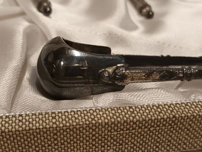 Lot de 12 cuillères à café et une pince à...