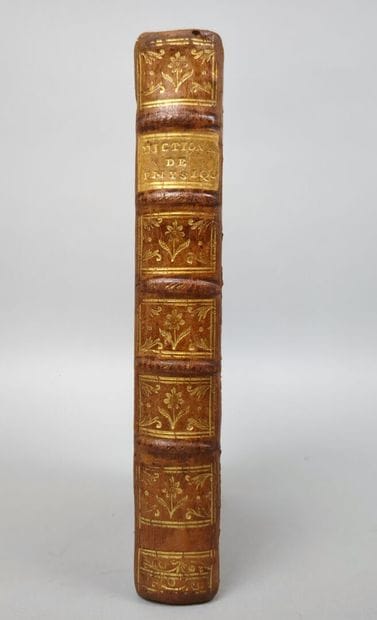 [PAULIAN (Aimé-Henri)]. Dictionnaire de physique...