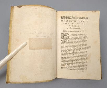 [Agriculture]. [Libri de Rustica]. TERENTII...