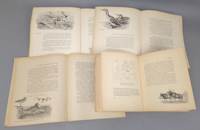 [Chasse]. Lot de 3 ouvrages en 4 volumes:
...