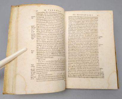 [Agriculture]. [Libri de Rustica]. TERENTII...