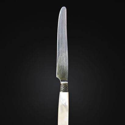 Couteaux à dessert, lames inox, manches en...