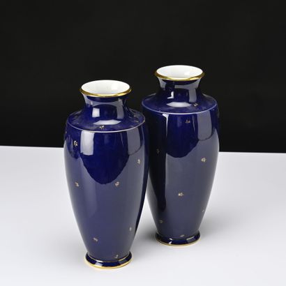 SEVRES, Paire de vases balustre à décor bleu...