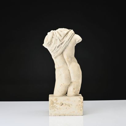 Buste d'Apollon drapé
Epreuve d'atelier en...