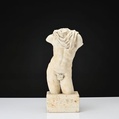 Buste d'Apollon drapé
Epreuve d'atelier en...