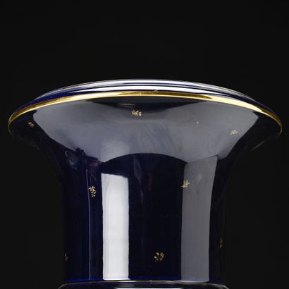SEVRES 
Paire de vases medicis en porcelaine...