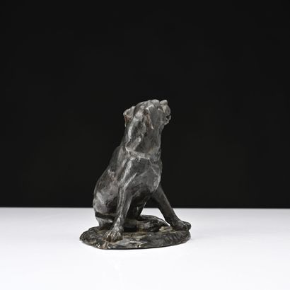 Victor HAYTON
Labrador assis 
Epreuve en...