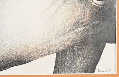Marie BREUCQ (1950)
Chevaux
Fusain et sanguine...