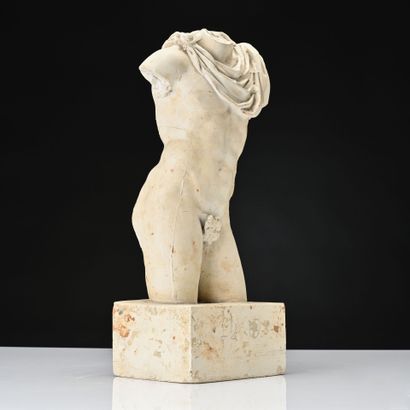Buste d'Apollon drapé
Epreuve d'atelier en...