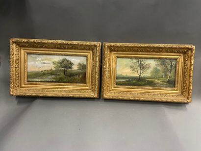 Ecole française 20ème
paire de paysages
Huile...