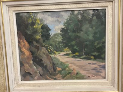 H ROCHE
Berger dna sle garrigue
Paysage de...