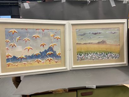 Flamants roses
Deux aquarelles
Encadrées
41...