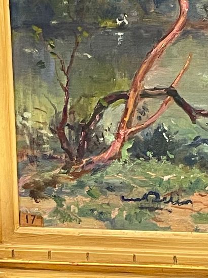 Luc BELIN (1878-1959)
Vue de l'acqueduc de...
