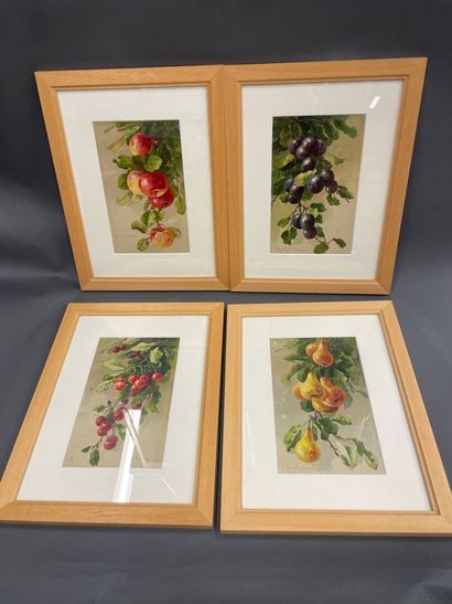 Quatre pièces encadrées
26 x 16 cm