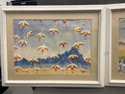 Flamants roses
Deux aquarelles
Encadrées
41...