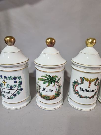 LIMOGES 
Lot de six pots à pharmacie : Aconit,...