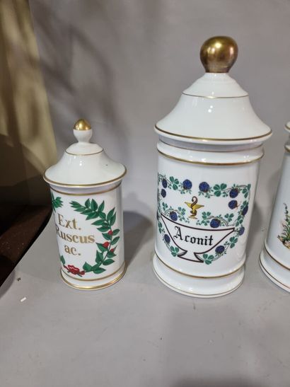 LIMOGES 
Lot de six pots à pharmacie : Aconit,...