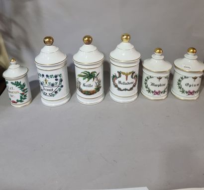 LIMOGES 
Lot de six pots à pharmacie : Aconit,...
