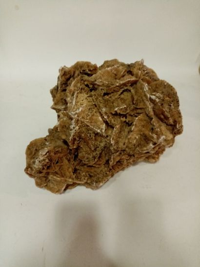 Importante rose des sables
L. 42 cm (env...