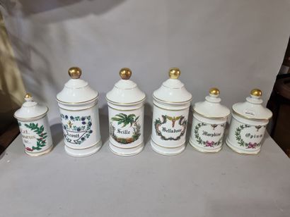 LIMOGES 
Lot de six pots à pharmacie : Aconit,...