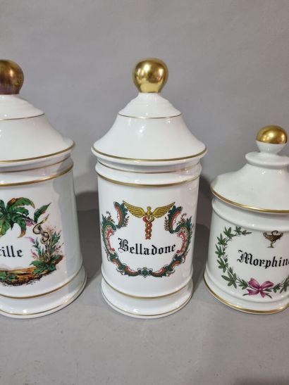 LIMOGES 
Lot de six pots à pharmacie : Aconit,...