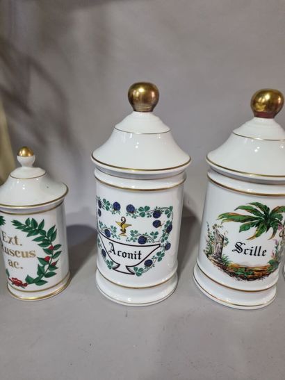 LIMOGES 
Lot de six pots à pharmacie : Aconit,...