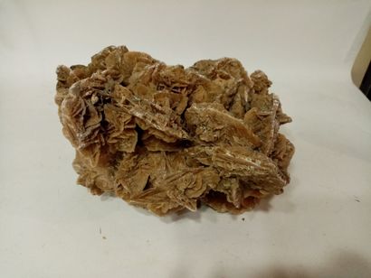 Importante rose des sables
L. 42 cm (env...