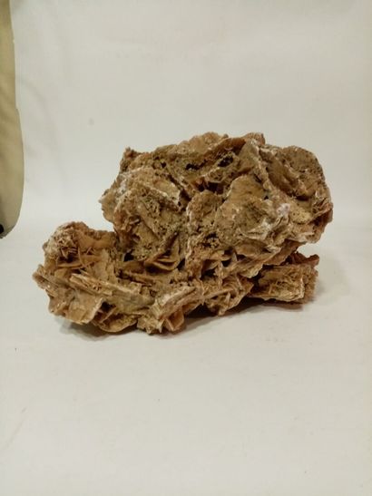 Importante rose des sables
L. 42 cm (env...