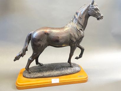 André PAOR
Chavela en bronze epreuve à paine...