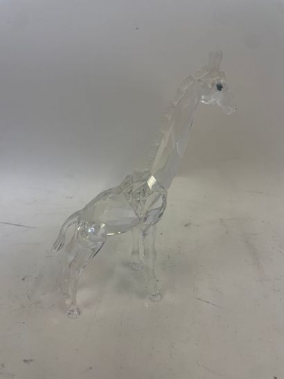 Girafe en cristal de Swarovski, 
H : 13 ...