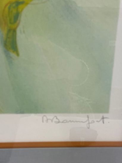 D'après Douglas ADAMS
Trois gravures encadrées...