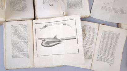 [Chine] [Compagnie de Jésus]. Lettres édifiantes...