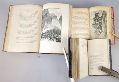 [Chasse] 3 volumes reliés du XIXe siècle:

1/...
