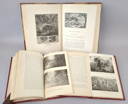 [Chasse] Réunion de 3 volumes (accds) :

1/...