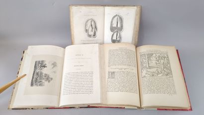 [Chasse] Réunion de 3 volumes in-8 reliés:

1/...