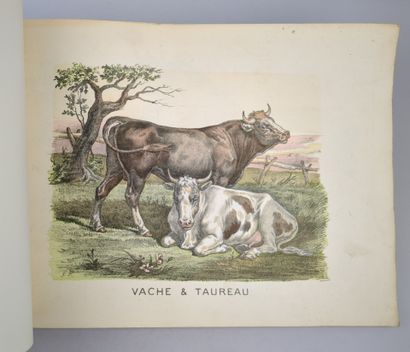 [IMAGERIE D'EPINAL] La Joie des Bébés......