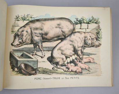 [IMAGERIE D'EPINAL] La Joie des Bébés......