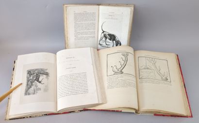 [Chasse] Réunion de 3 volumes in-8 reliés:

1/...