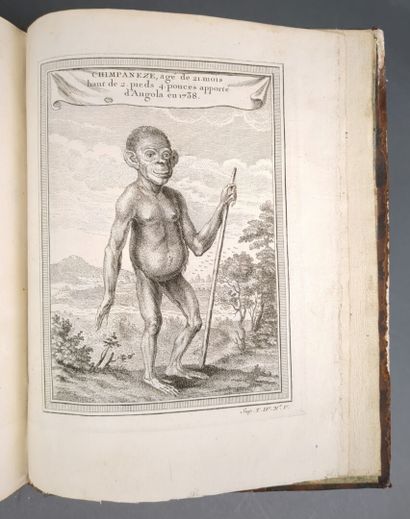 [Reliure aux armes] PRÉVOST (Antoine François)....