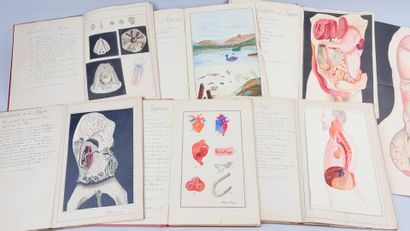 [Médecine] [Manuscrit] MARY (Alexandre et...
