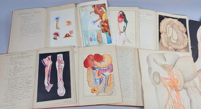 [Médecine] [Manuscrit] MARY (Alexandre et...