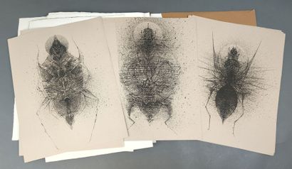 VASCA (Jean). Bestiaire d'insectes. Lyon,...