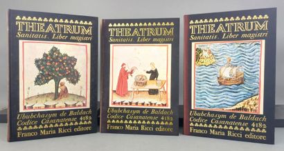 THEATRUM SANITATIS di Ububchasyni de Baldach....